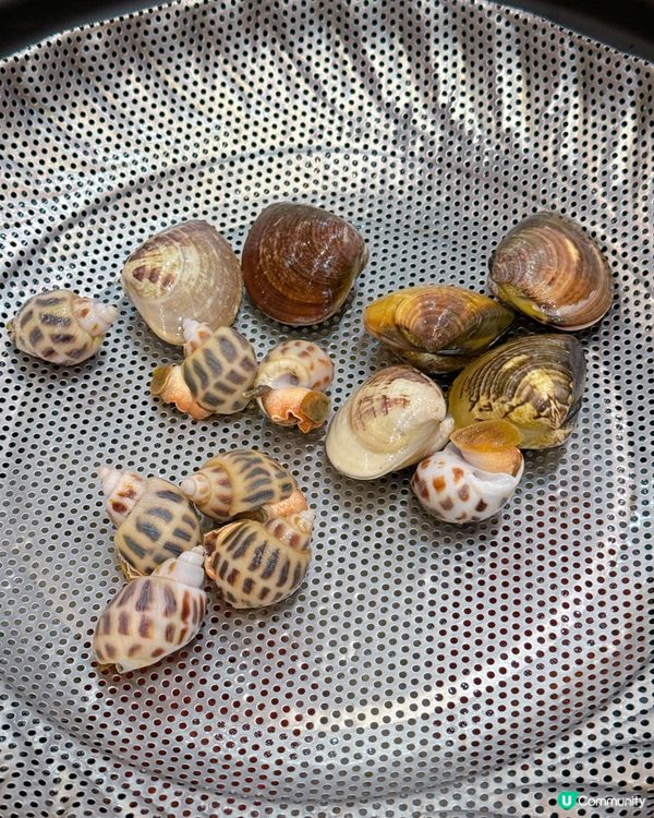 蒸氣火鍋海鮮宴 🦀🥢  
小漁港海鮮舫，鮮味爆發！