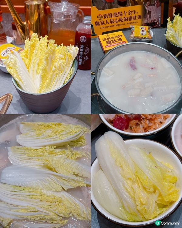 深圳必食豬肚雞🐔 順德公16年老字號！😋