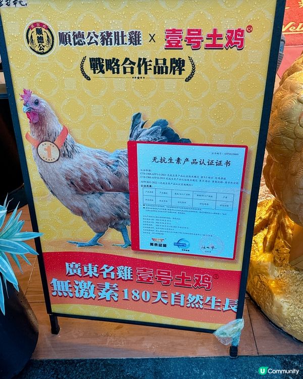 深圳必食豬肚雞🐔 順德公16年老字號！😋