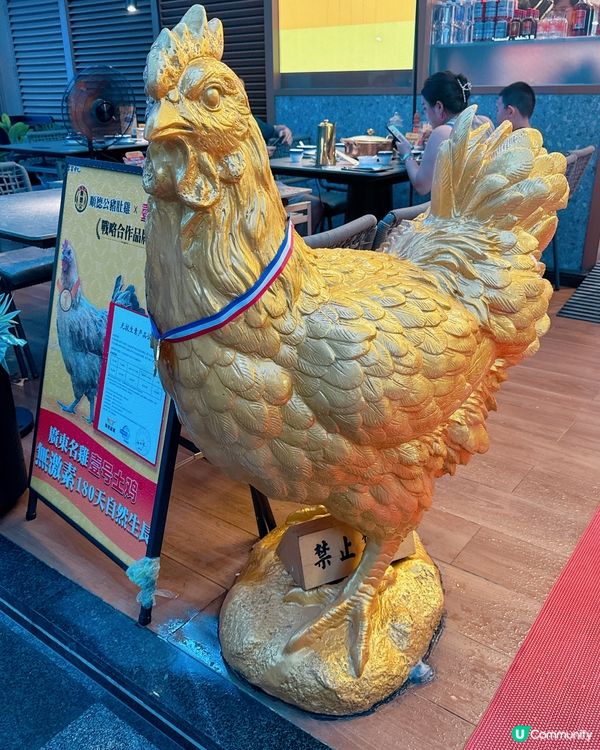 深圳必食豬肚雞🐔 順德公16年老字號！😋