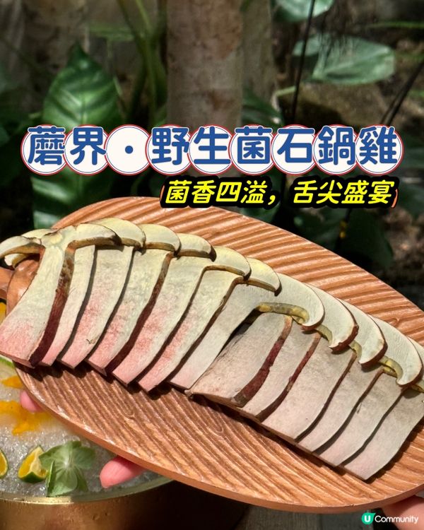 菌菇盛宴，鮮香四溢 🍄🍲
