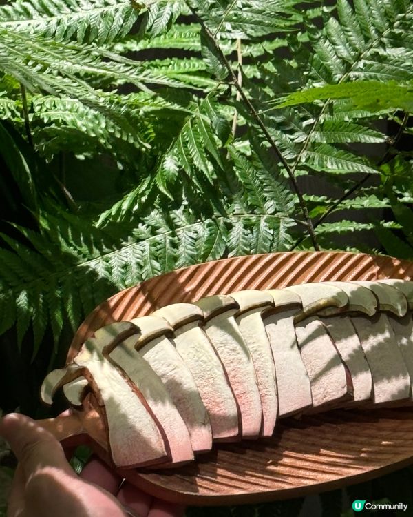 菌菇盛宴，鮮香四溢 🍄🍲