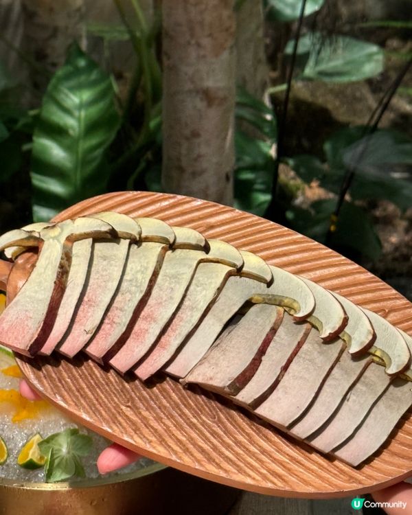 菌菇盛宴，鮮香四溢 🍄🍲