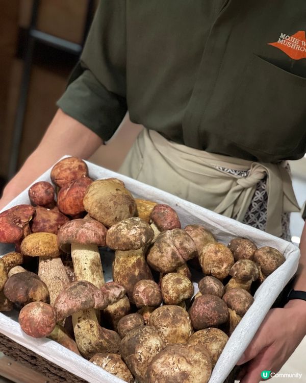 菌菇盛宴，鮮香四溢 🍄🍲