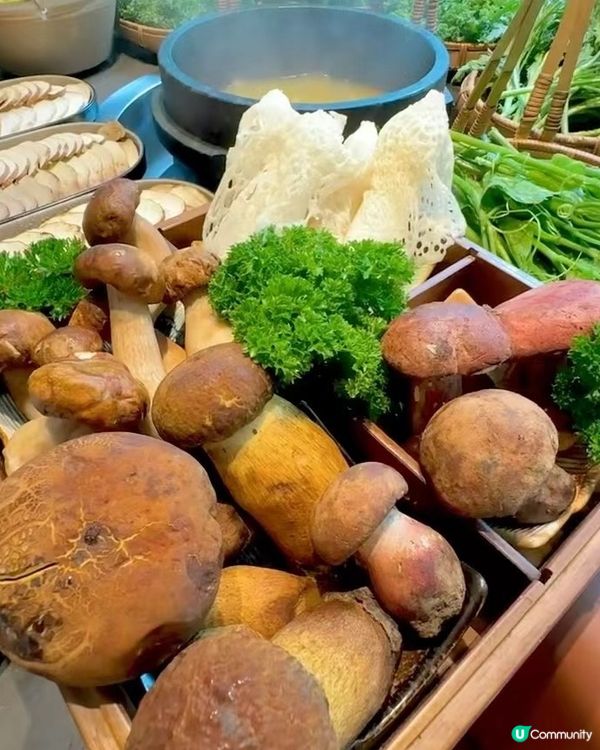 菌菇盛宴，鮮香四溢 🍄🍲