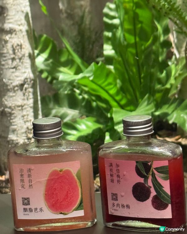 菌菇盛宴，鮮香四溢 🍄🍲