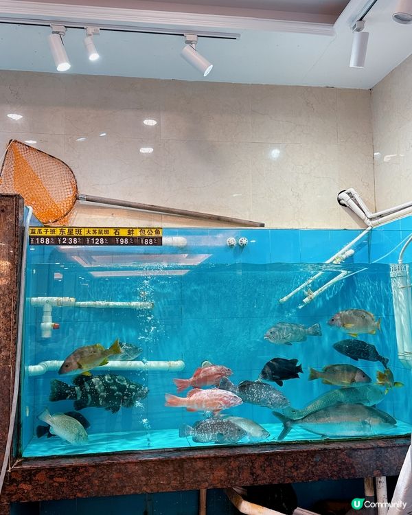 沙頭角過關必食😋 南澳漁村33年老字號