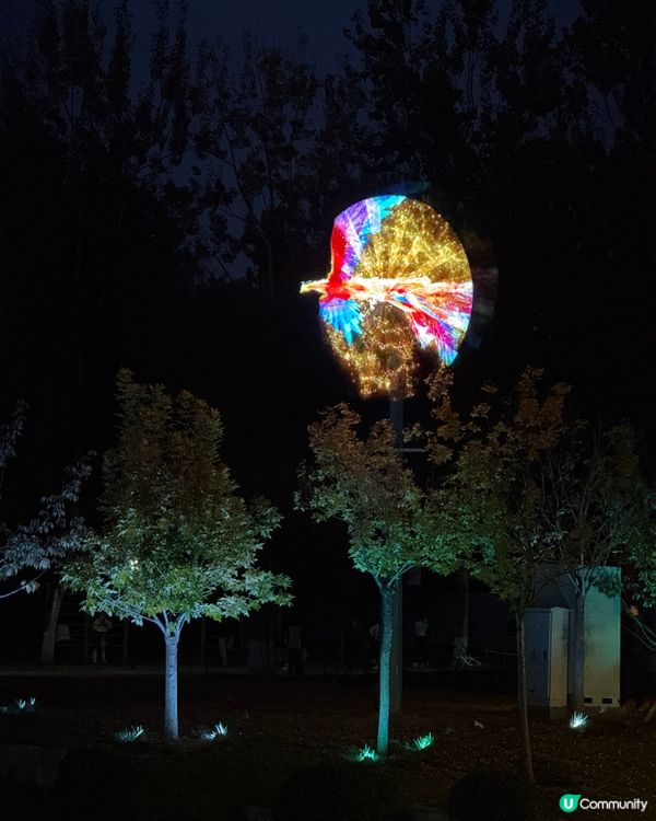 在北京朝陽公園看到的，很特別！