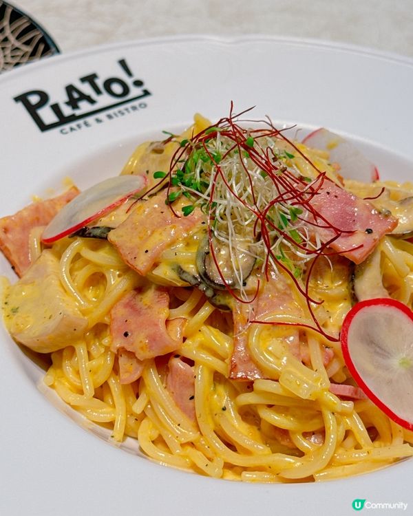 Plato Cafe & Bistro✨