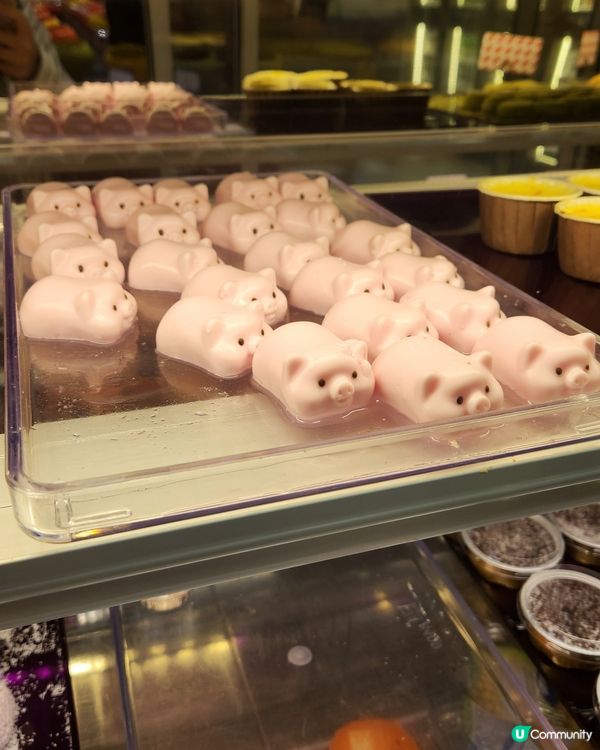 牛站(駅)麻辣火鍋放題 🎀✨️