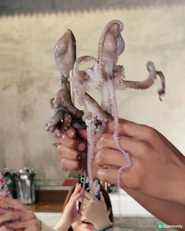 2024韓國海鮮節🇰🇷初嚐韓國刺身