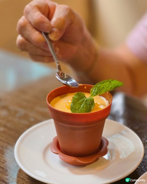 4間高質🔥素食點心店推介 點心味道同外表同一般酒樓冇分別