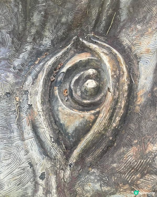 ## 桃山巨人之手 🖐️  打卡必去！