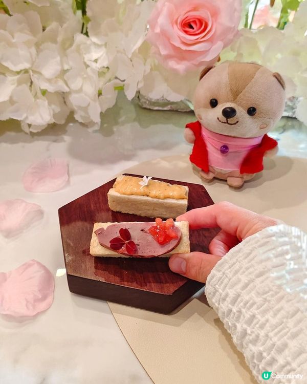 《海港城中菜西造新餐廳來咯》