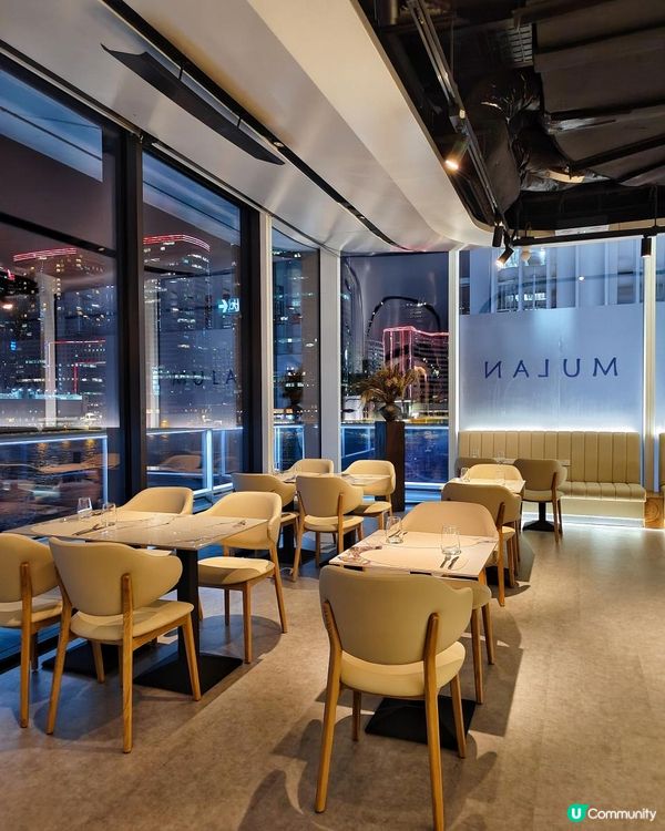 《海港城中菜西造新餐廳來咯》