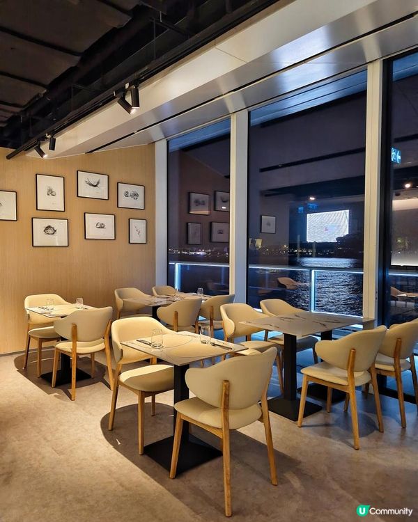 《海港城中菜西造新餐廳來咯》