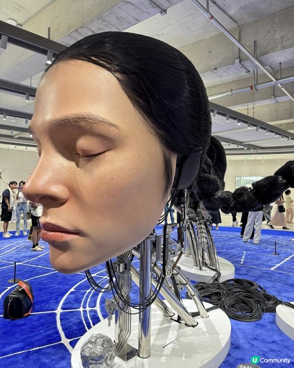 Haus Nowhere 深圳巨人打卡點