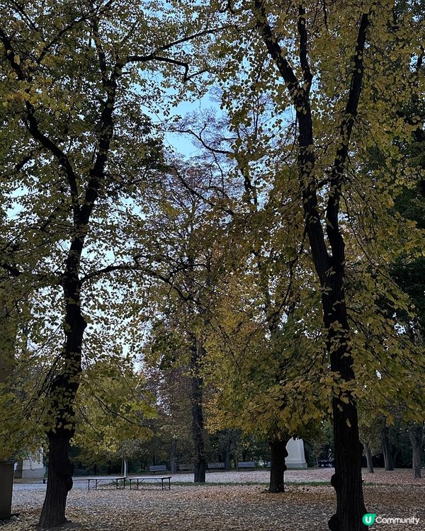 ✨ 探索布拉格嘅Petrin塔!🗼