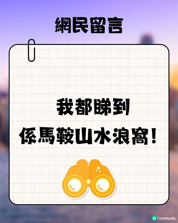 香港新界上空疑驚見火流星☄️網民:難過中六合彩‼️有圖