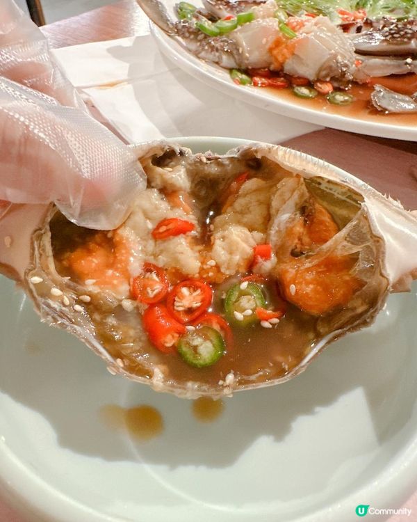 正宗韓國人主理韓國菜