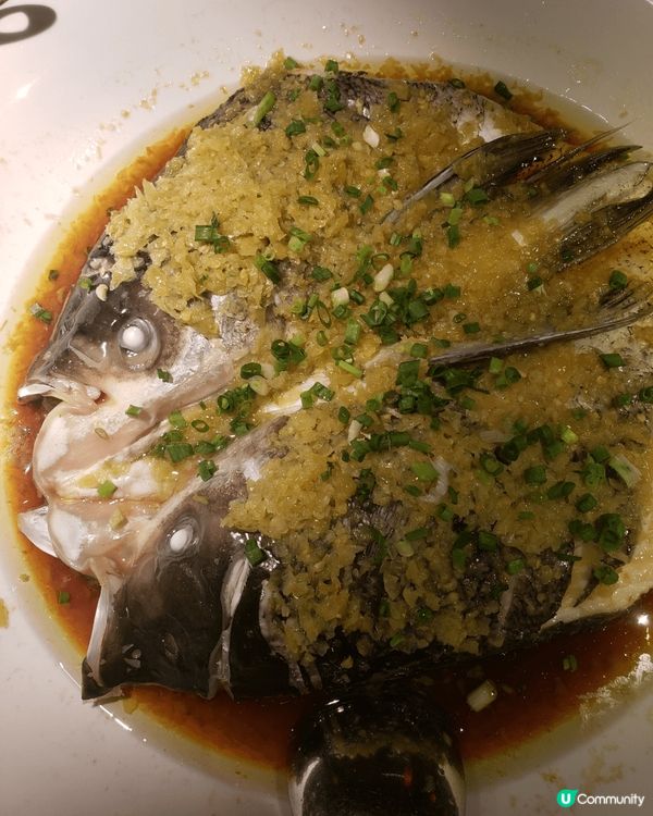 終於等到內地超火網紅店「綠茶餐廳」來香港開店，排長龍等都值得...