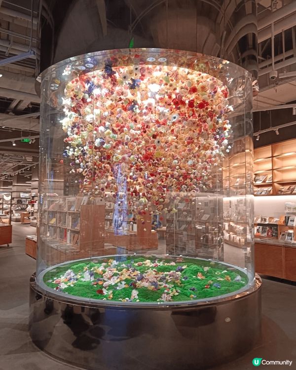 中洲灣，第一次去，覺得好多高科技?展覽，大人睇得好震撼和睇得...