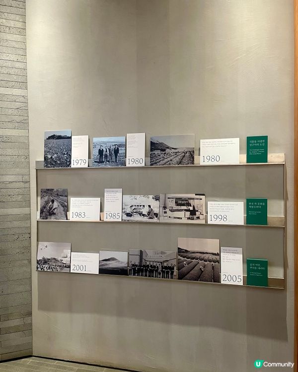 🇰🇷濟洲 綠茶博物館🍵🏫