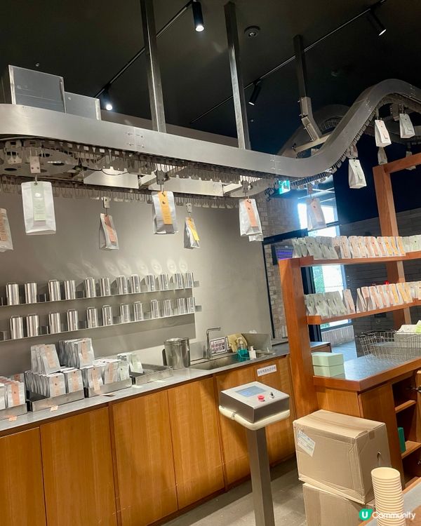 🇰🇷濟洲 綠茶博物館🍵🏫