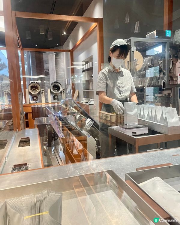 🇰🇷濟洲 綠茶博物館🍵🏫