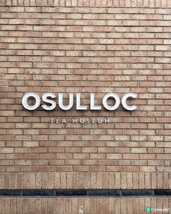 🇰🇷濟洲 綠茶博物館🍵🏫