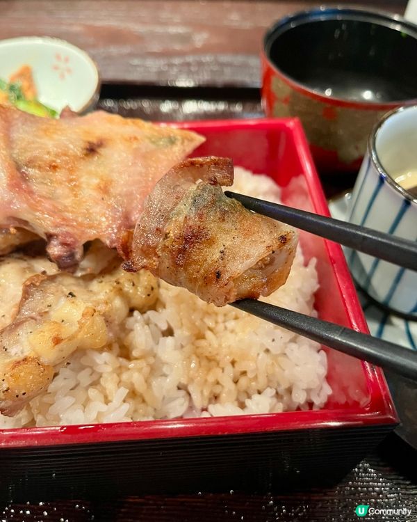 新開半露天日本居酒屋🏮📸⚠️