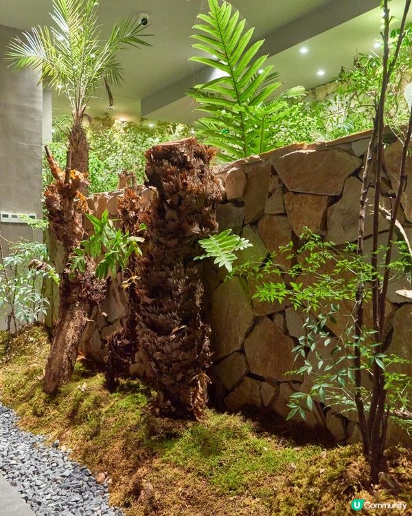 📍深圳必去💆🏻‍♀️SPA新天花板 - 森林系SPA館