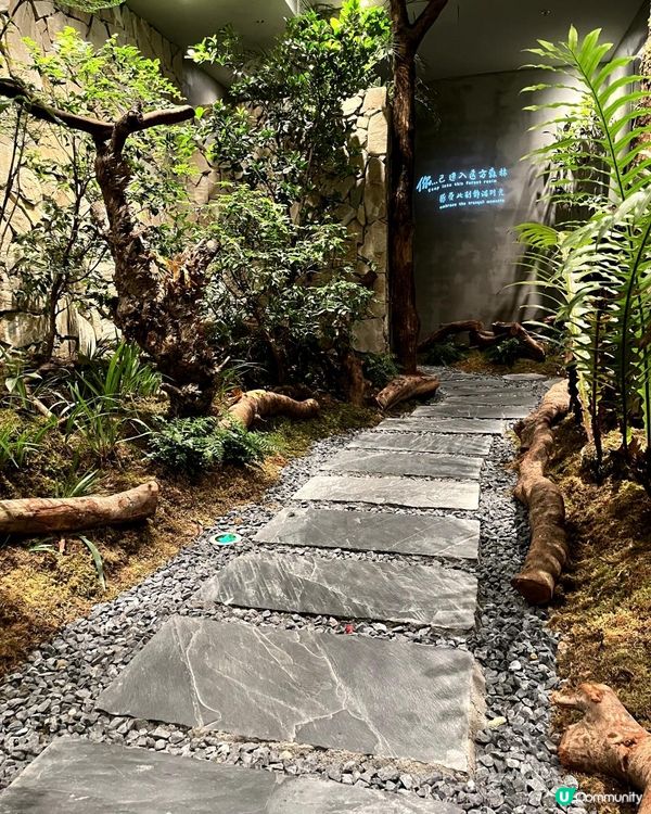 📍深圳必去💆🏻‍♀️SPA新天花板 - 森林系SPA館