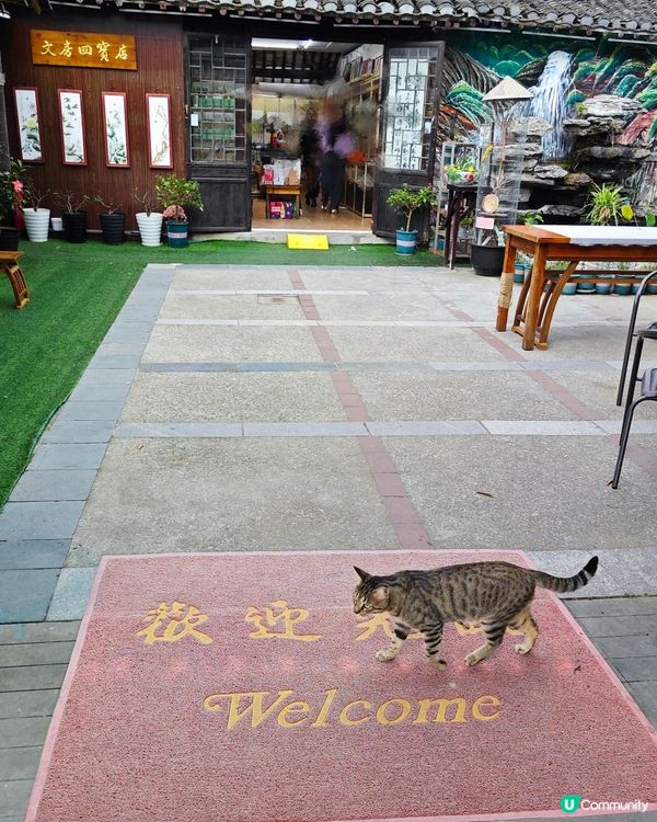 ahhhhh~😍 好可愛的毛孩們呀