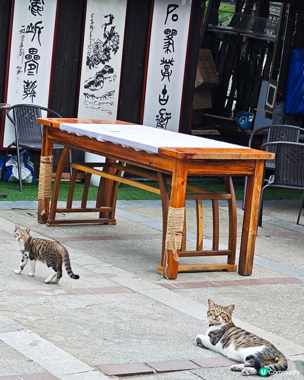 ahhhhh~😍 好可愛的毛孩們呀