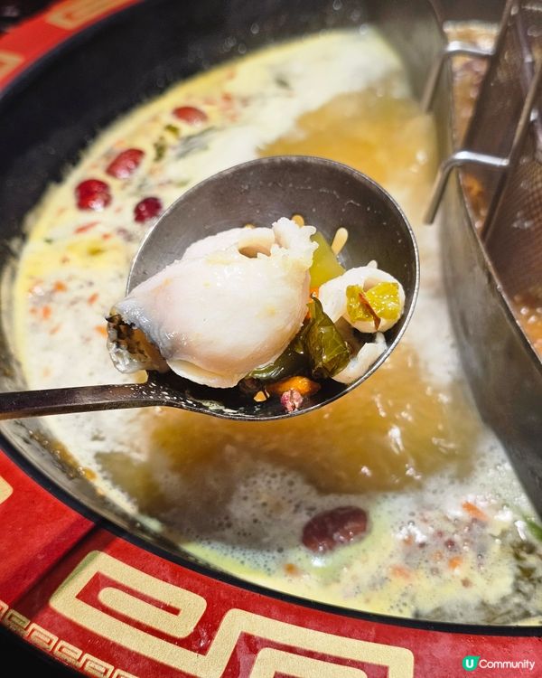 必吃 🔥九龍坎麻辣火鍋