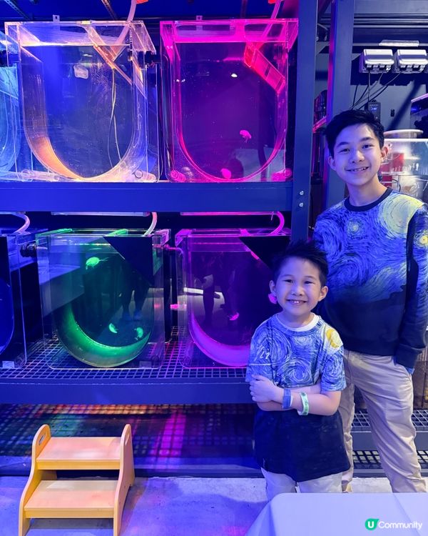 荃灣水母探索館