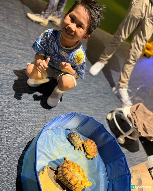 荃灣水母探索館