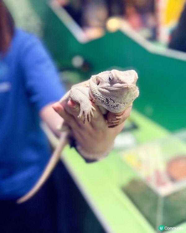 荃灣水母探索館