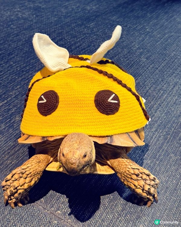 荃灣水母探索館