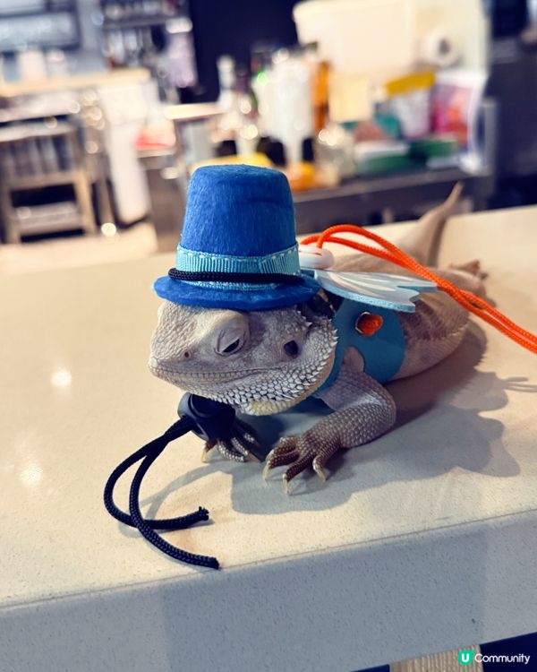 荃灣水母探索館