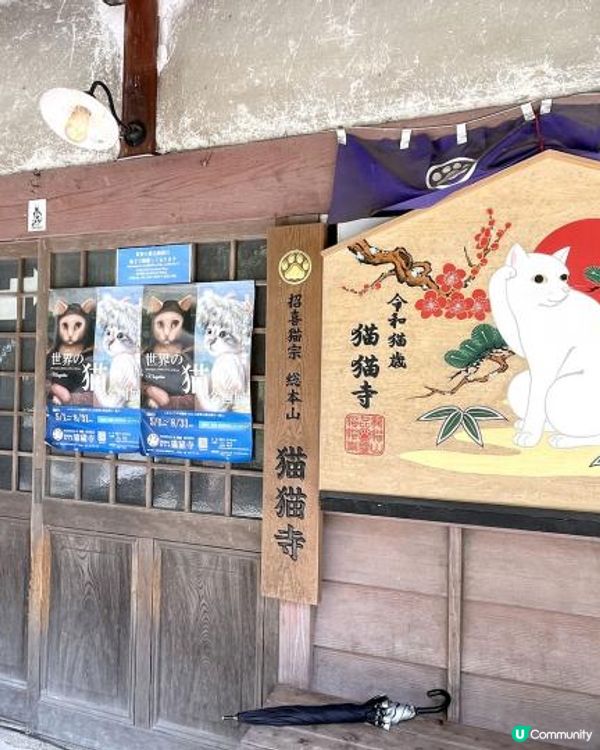 愛貓之人的主題樂園【猫猫寺】