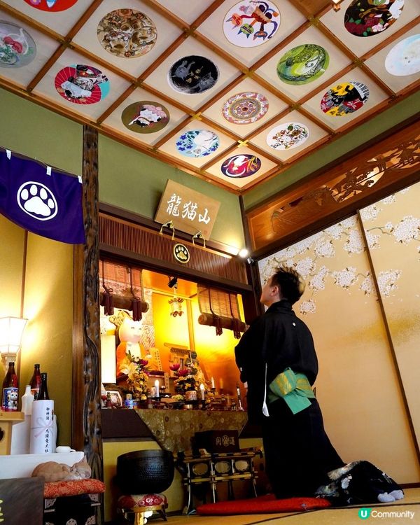 愛貓之人的主題樂園【猫猫寺】