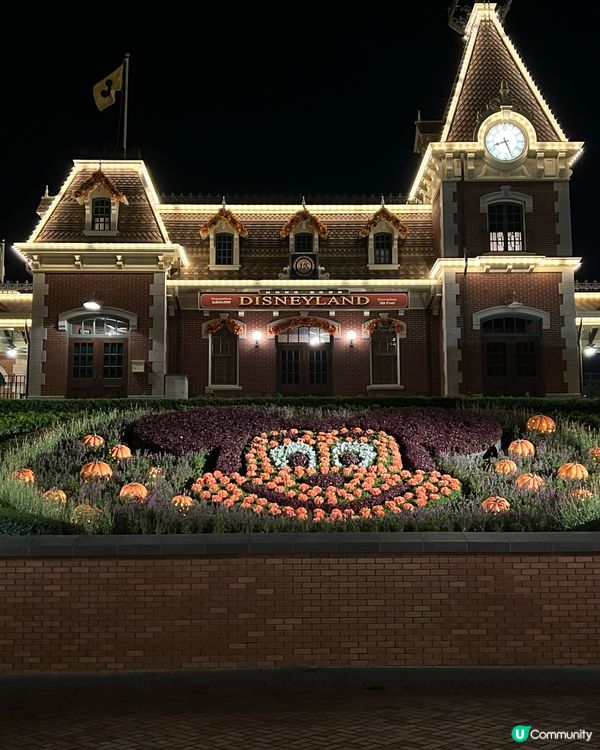 迪士尼萬聖節狂歡