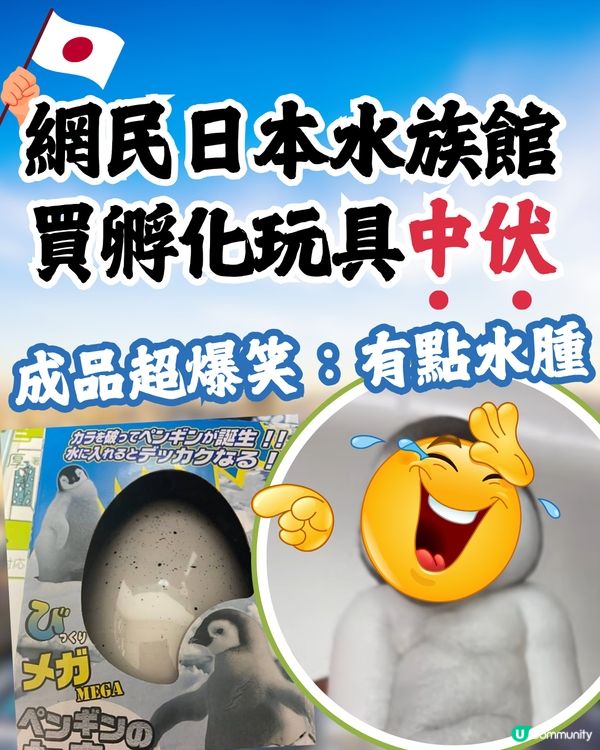 網民日本水族館買孵化玩具中伏🥚成品超爆笑：明顯是死胎🐧🇯🇵🤣