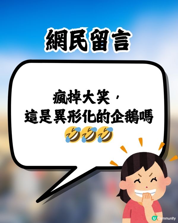 網民日本水族館買孵化玩具中伏🥚成品超爆笑：明顯是死胎🐧🇯🇵🤣