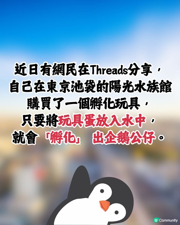 網民日本水族館買孵化玩具中伏🥚成品超爆笑：明顯是死胎🐧🇯🇵🤣