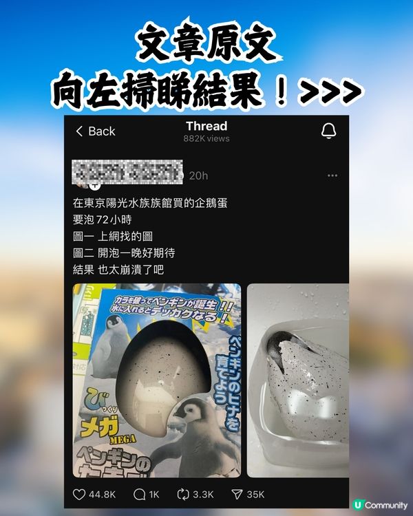 網民日本水族館買孵化玩具中伏🥚成品超爆笑：明顯是死胎🐧🇯🇵🤣