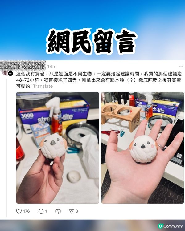 網民日本水族館買孵化玩具中伏🥚成品超爆笑：明顯是死胎🐧🇯🇵🤣