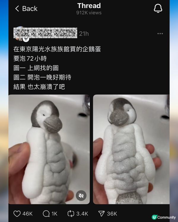 網民日本水族館買孵化玩具中伏🥚成品超爆笑：明顯是死胎🐧🇯🇵🤣